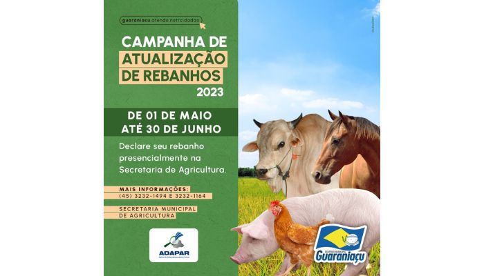 Guaraniaçu - Atenção produtor rural, chegou a hora de atualizar o rebanho